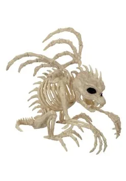 Seasons (HK) Ltd. 9" Gargoyle Skeleton Decoration