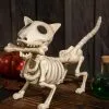 Seasons (HK) Ltd. 10.5 Inch Digger The Dog Skeleton Prop