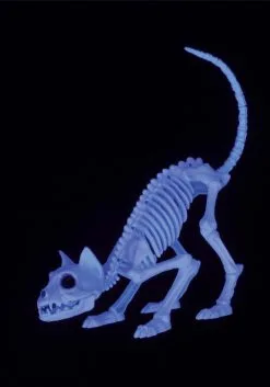 Seasons (HK) Ltd. 11 Inch Black Light Ghostly Kitty Skeleton