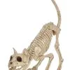 Seasons (HK) Ltd. 11-Inch Lil' Kitty Skeleton Prop 2 Seasons (HK) Ltd. 11-Inch Lil' Kitty Skeleton Prop -Skeletons And Skulls Sales Shop 11 lil kitty skeleton
