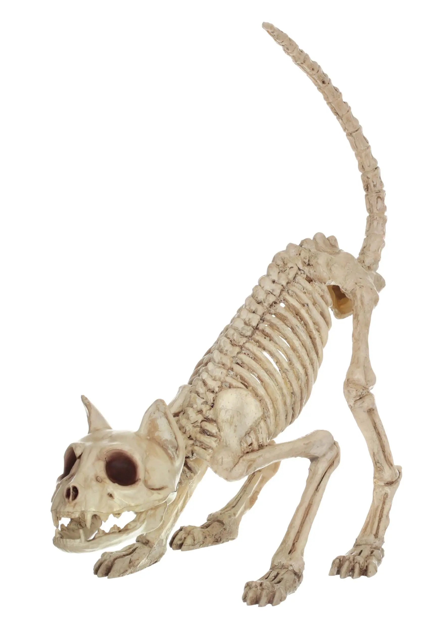 Seasons (HK) Ltd. 11-Inch Lil' Kitty Skeleton Prop 3 Seasons (HK) Ltd. 11-Inch Lil' Kitty Skeleton Prop