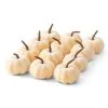 K&K Interiors Set Of 12 Cream Velvet 2" Pumpkins Decoration 1 K&K Interiors Set Of 12 Cream Velvet 2" Pumpkins Decoration -Skeletons And Skulls Sales Shop 12 2 cream velvet pumpkins