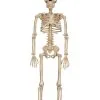 Seasons (HK) Ltd. 16 Inch Skeleton Decoration