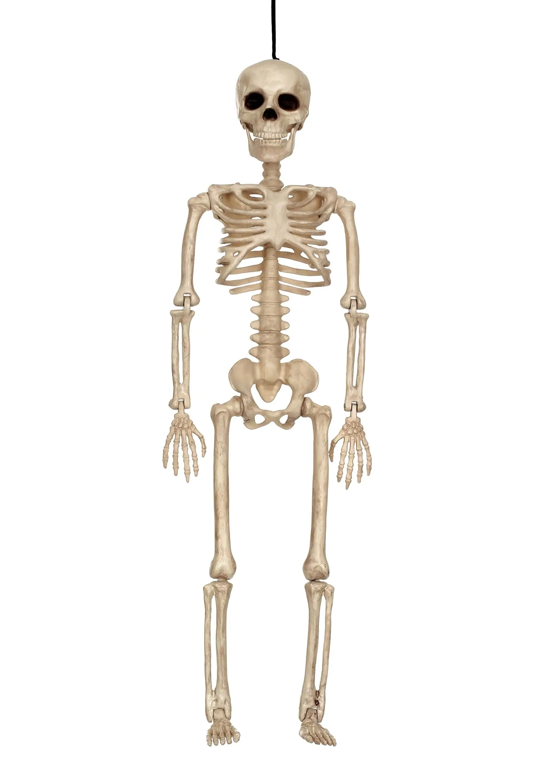 Seasons (HK) Ltd. 16 Inch Skeleton Decoration 3 Seasons (HK) Ltd. 16 Inch Skeleton Decoration
