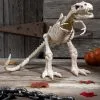 Seasons (HK) Ltd. 16" T-Rex Skeleton