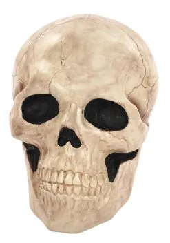 Seasons (HK) Ltd. 18.5 Inch Giant Skull Decoration