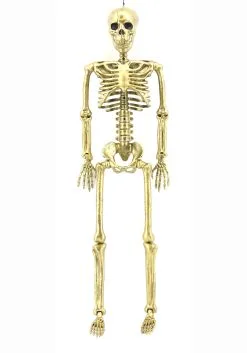 Seasons (HK) Ltd. 24-Inch Gold Skeleton Decoration