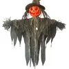 Sunstar Industries 3 FT Hanging Light Up Pumpkin Witch -Skeletons And Skulls Sales Shop 3 ft hanging light up pumpkin witch