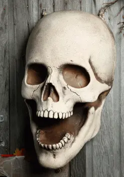 Distortions Giant 30 Inch Super Skull Prop