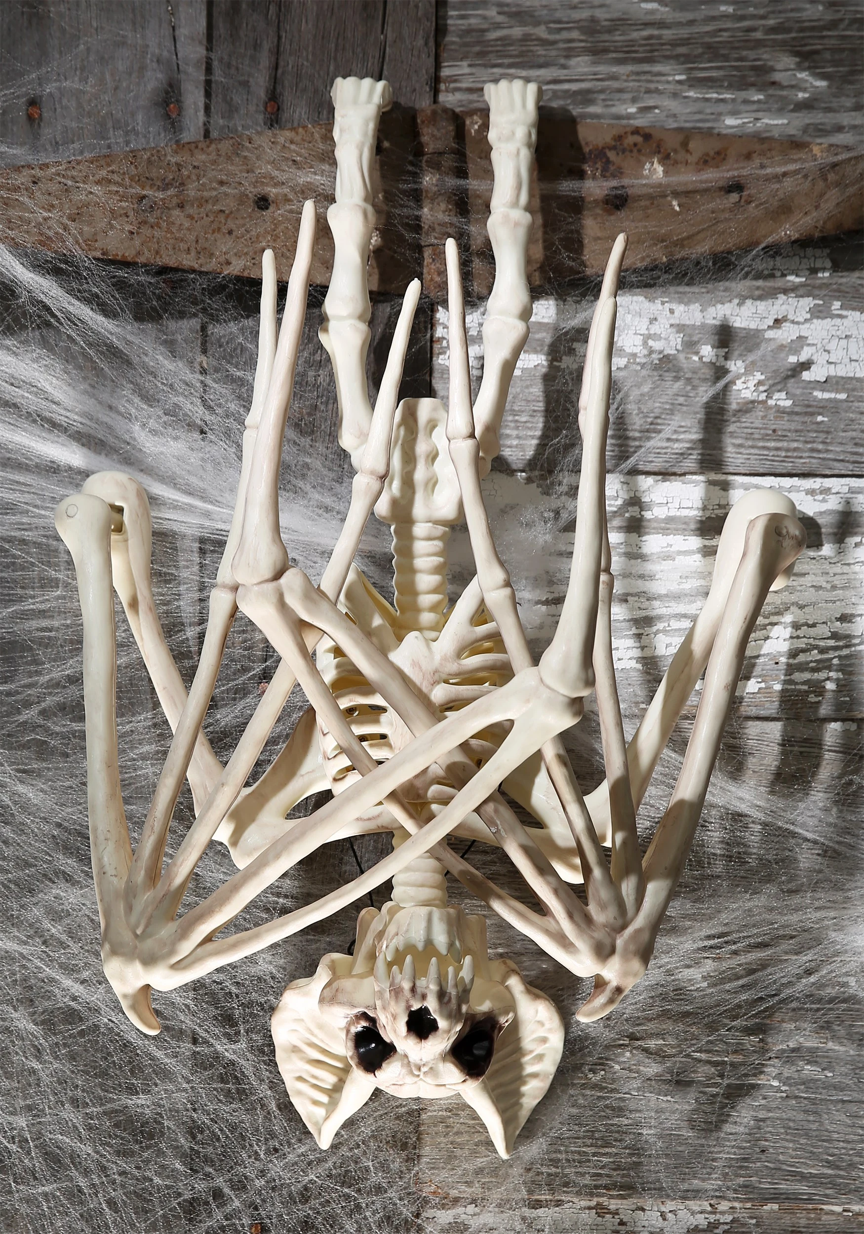 Seasons (HK) Ltd. 36'' Nocturnal Bat Skeleton 3 Seasons (HK) Ltd. 36'' Nocturnal Bat Skeleton
