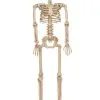 Seasons (HK) Ltd. Posable 36-Inch Skeleton Decoration