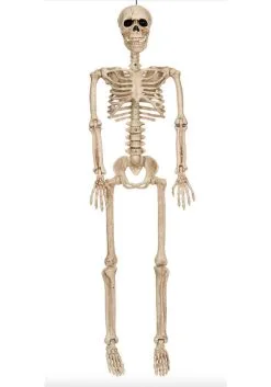 Seasons (HK) Ltd. Posable 36-Inch Skeleton Decoration