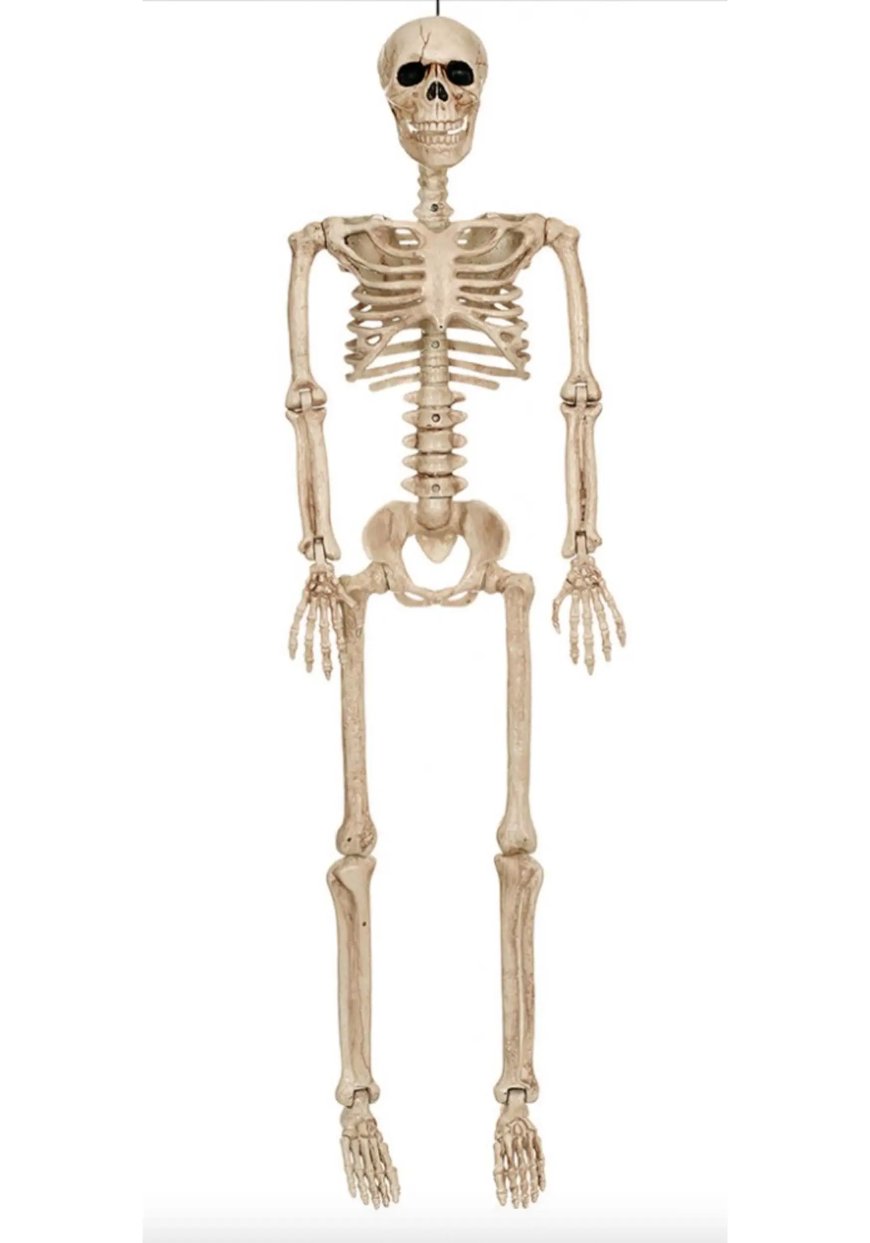 Seasons (HK) Ltd. Posable 36-Inch Skeleton Decoration 3 Seasons (HK) Ltd. Posable 36-Inch Skeleton Decoration