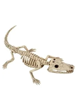 Seasons (HK) Ltd. Baby Alligator Skeleton Decoration