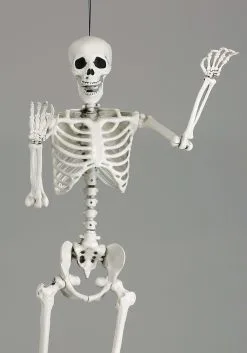 Yihai 5 Foot Posable Skeleton Decoration -Skeletons And Skulls Sales Shop 5 ft posable skeleton alt 1