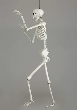 Yihai 5 Foot Posable Skeleton Decoration -Skeletons And Skulls Sales Shop 5 ft posable skeleton alt 2