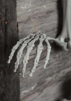 Yihai 5 Foot Posable Skeleton Decoration -Skeletons And Skulls Sales Shop 5 ft posable skeleton alt 3