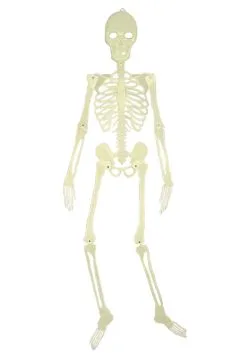 Seasons (HK) Ltd. 5 Foot Glow In The Dark Skeleton Halloween Prop