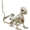 Seasons (HK) Ltd. Griffin Skeleton 5.5 Inch Prop