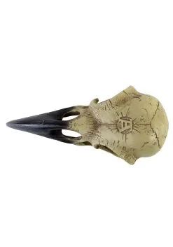Alchemy Of England 6 Inch Corvus Alchemica Skull Decoration -Skeletons And Skulls Sales Shop 6 inch corvus alchemia skull alt 1