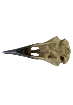 Alchemy Of England 6 Inch Corvus Alchemica Skull Decoration -Skeletons And Skulls Sales Shop 6 inch corvus alchemia skull alt 2