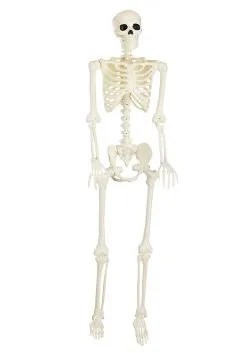 Seasons (HK) Ltd. 60 Inch Blacklight Ghostly Skeleton Halloween Prop -Skeletons And Skulls Sales Shop 60 blacklight ghostly skeleton alt 1