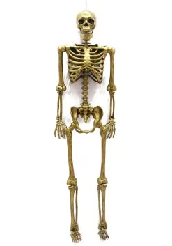Seasons (HK) Ltd. 60 Inch Gold Life Size Posable Skeleton Prop 7 Seasons (HK) Ltd. 60 Inch Gold Life Size Posable Skeleton Prop -Skeletons And Skulls Sales Shop 60 gold life size posable skeleton prop alt 2