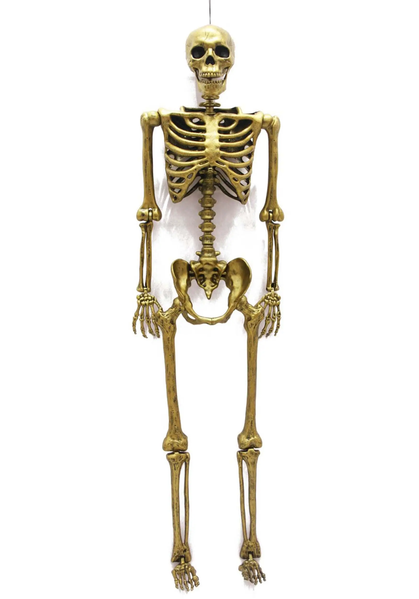 Seasons (HK) Ltd. 60 Inch Gold Life Size Posable Skeleton Prop 5 Seasons (HK) Ltd. 60 Inch Gold Life Size Posable Skeleton Prop - Image 3