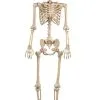 Seasons (HK) Ltd. 60 Inch Light Up Skeleton Halloween Decoration -Skeletons And Skulls Sales Shop 60 inch light up skeleton upd