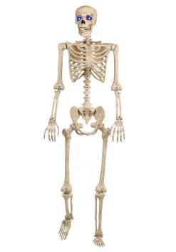 Seasons (HK) Ltd. 60 Inch Light Up Skeleton Halloween Decoration