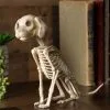 Seasons (HK) Ltd. Sitting 7.5 Inch Puppy Skeleton Decoration -Skeletons And Skulls Sales Shop 7 5 sitting puppy skeleton