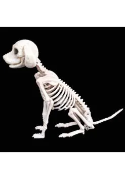 Seasons (HK) Ltd. Sitting 7.5 Inch Puppy Skeleton Decoration 5 Seasons (HK) Ltd. Sitting 7.5 Inch Puppy Skeleton Decoration -Skeletons And Skulls Sales Shop 7 5 sitting puppy skeleton alt 1