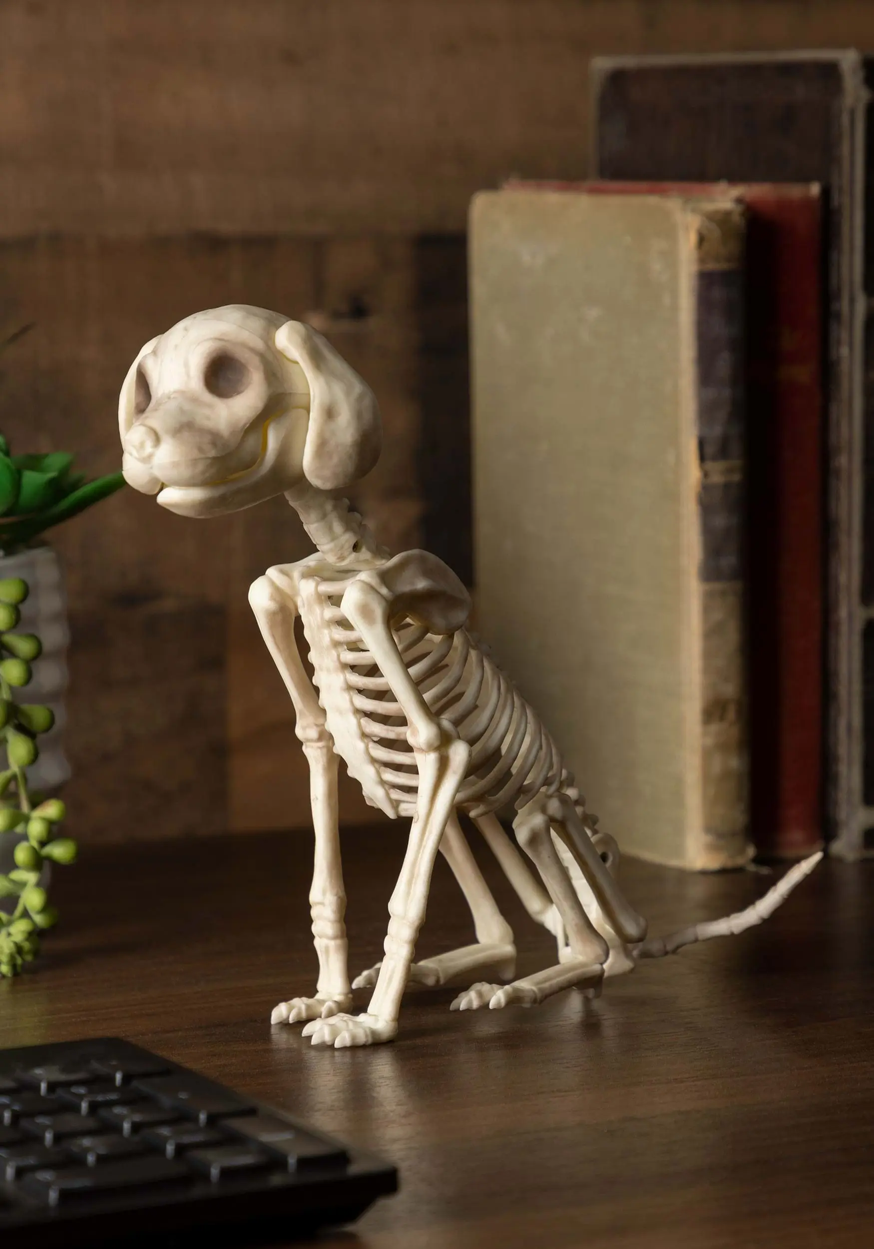 Seasons (HK) Ltd. Sitting 7.5 Inch Puppy Skeleton Decoration 3 Seasons (HK) Ltd. Sitting 7.5 Inch Puppy Skeleton Decoration