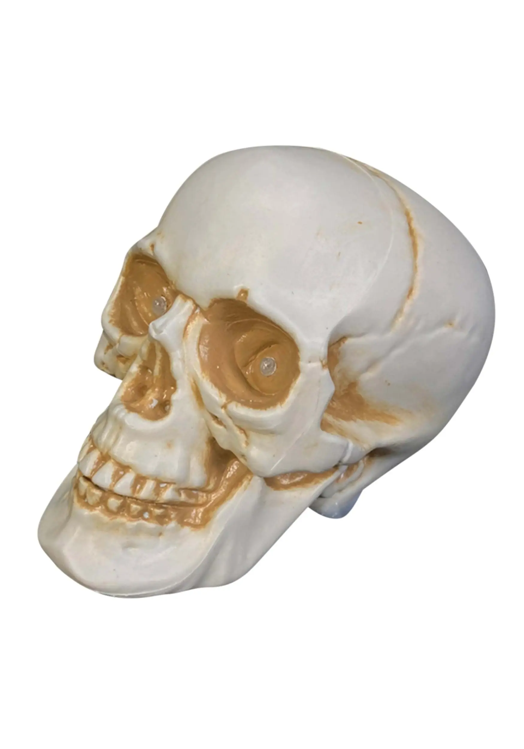 Sunstar Industries 7" Realistic Talking Skull Decoration 3 Sunstar Industries 7" Realistic Talking Skull Decoration
