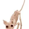 Seasons (HK) Ltd. Kitty 7.5" Skeleton 1 Seasons (HK) Ltd. Kitty 7.5" Skeleton -Skeletons And Skulls Sales Shop 75 kitty skeleton