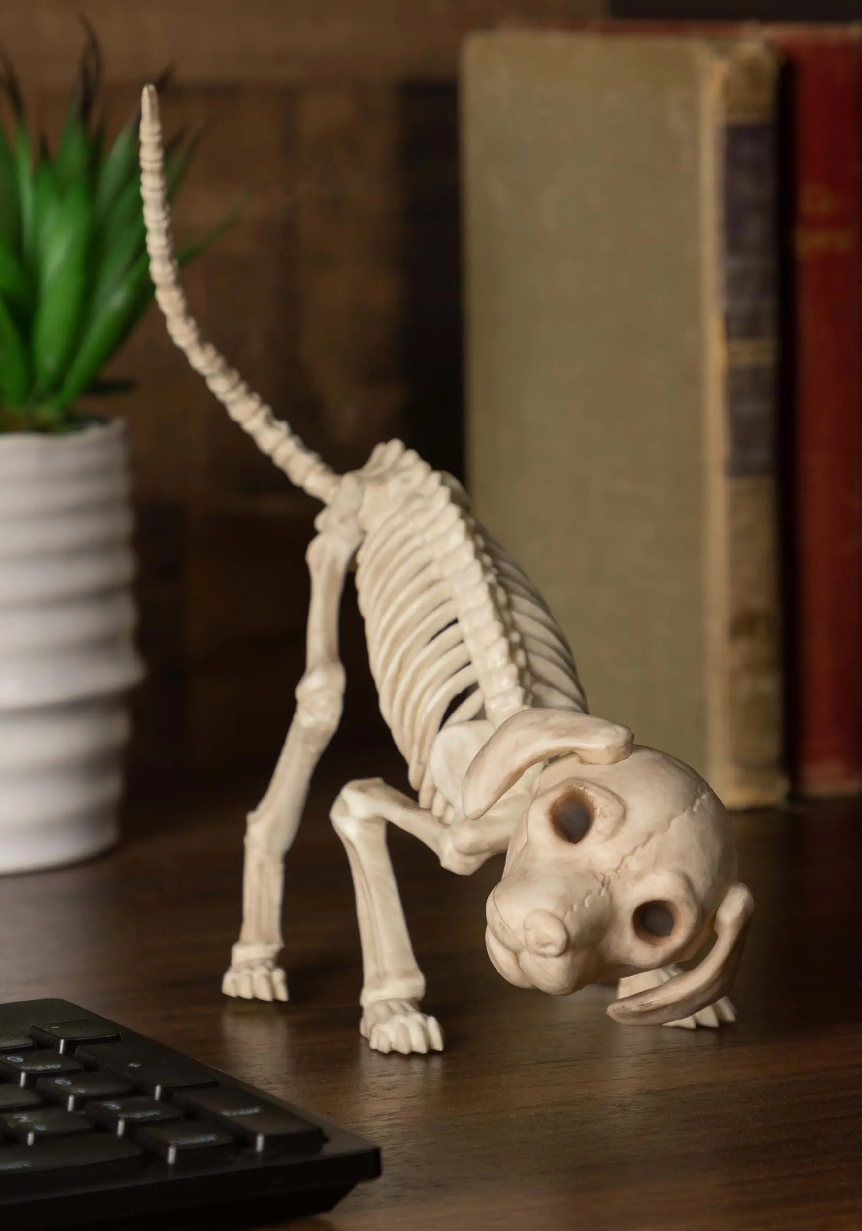 Seasons (HK) Ltd. Puppy 7.5" Skeleton 3 Seasons (HK) Ltd. Puppy 7.5" Skeleton