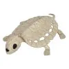 Seasons (HK) Ltd. 8-Inch Skeleton Turtle Decoration -Skeletons And Skulls Sales Shop 8 inch skeleton turtle