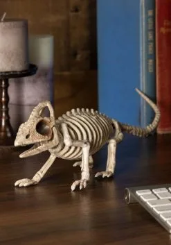 Seasons (HK) Ltd. 8-Inch Lizard Skeleton Prop