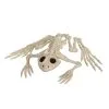 Seasons (HK) Ltd. 8" Skeleton Frog Decor