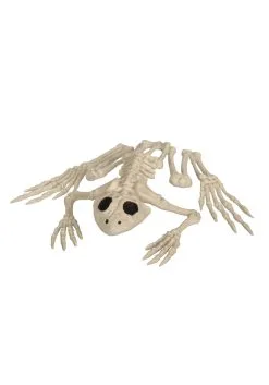 Seasons (HK) Ltd. 8" Skeleton Frog Decor