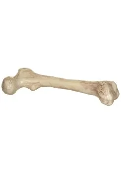 Seasons (HK) Ltd. 9-Inch Big Bone Prop