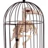 Seasons (HK) Ltd. 9.5" Skeleton Raven In Cage Decoration