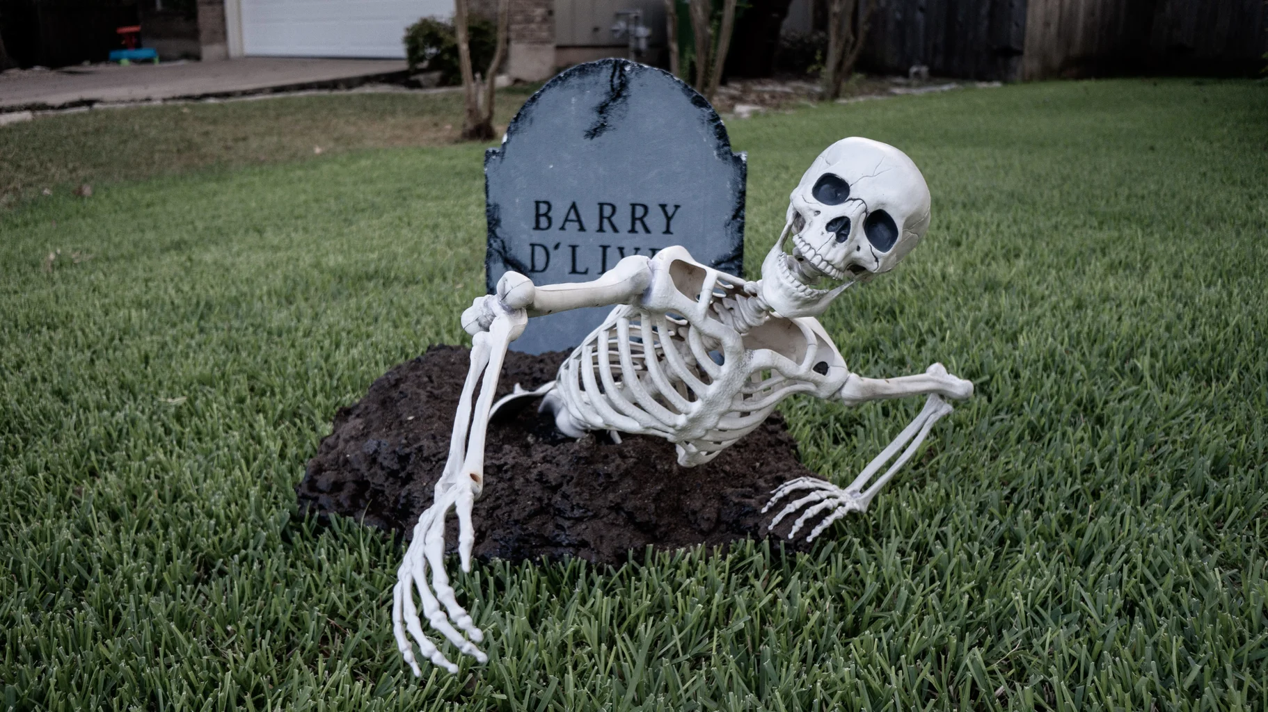 Skeletons And Skulls Sales Shop -Skeletons And Skulls Sales Shop FPSTOR9K1B4DHU3