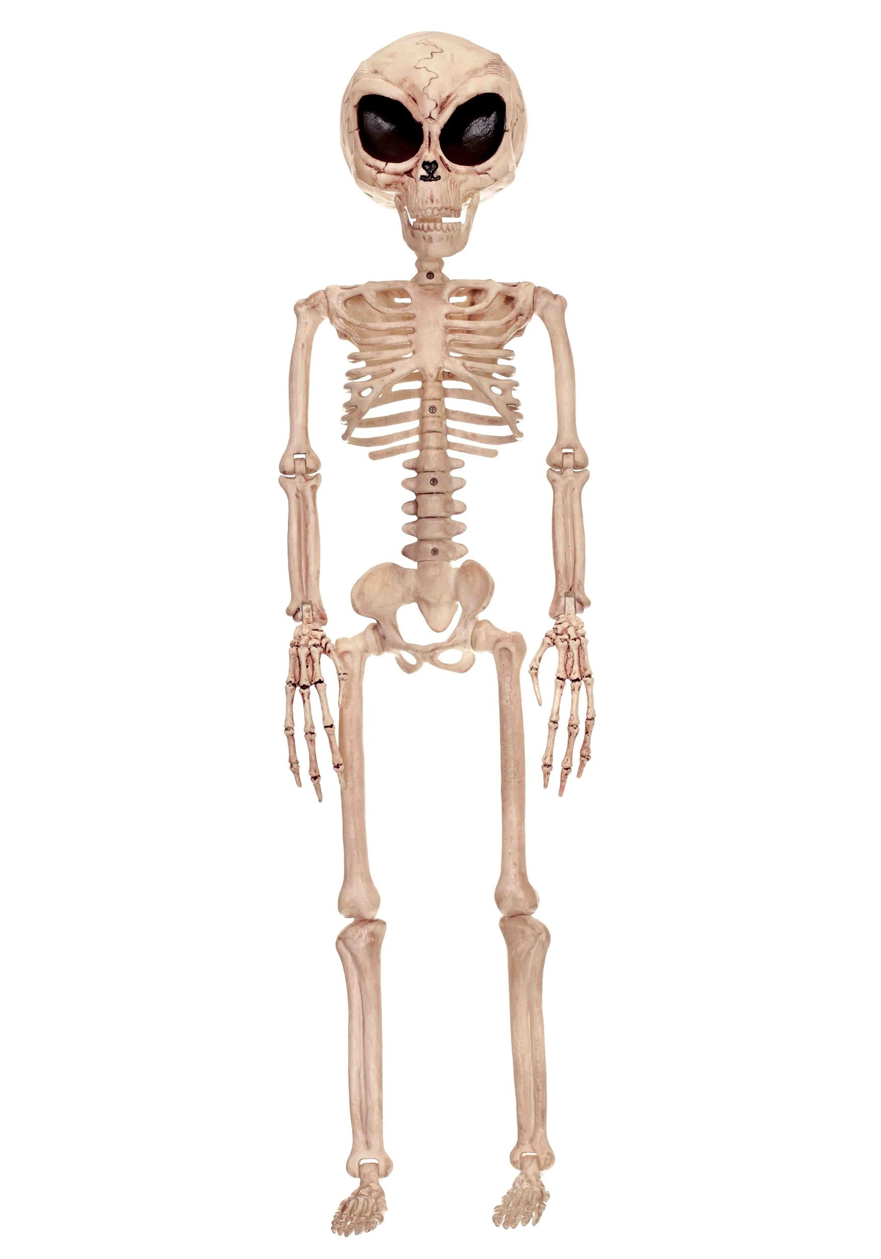 Seasons (HK) Ltd. 3FT Alien Skeleton Halloween Prop 3 Seasons (HK) Ltd. 3FT Alien Skeleton Halloween Prop