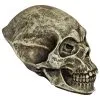 Ghoulish Productions Alien Skull Spooky Prop
