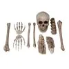 Fun World Bag O' Bones Halloween Decoration