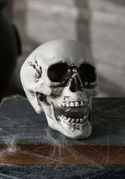 Aroma Set Of 24 Skulls Decoration -Skeletons And Skulls Sales Shop bag of 24 skulls mc0151 alt 2