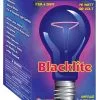 Rubies Costume Co. Inc Blacklite Black Light Bulb Decoration