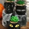 Transpac Cauldron, Cat, & Skeleton Decorative Halloween Succulent Planter Set