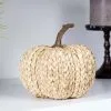 Yihai White Cornpeel Pumpkin Decoration 2 Yihai White Cornpeel Pumpkin Decoration -Skeletons And Skulls Sales Shop cornpeel pumpkin white